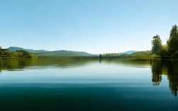 教师资格证短信密码是什么？高效备考与机构选择全攻略