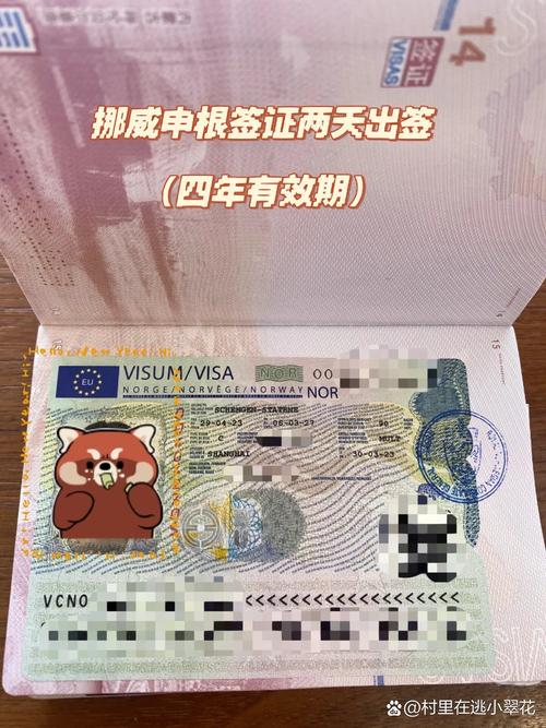 opt extension 签证