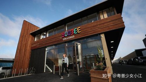 新西兰的yoobee毕业年薪
