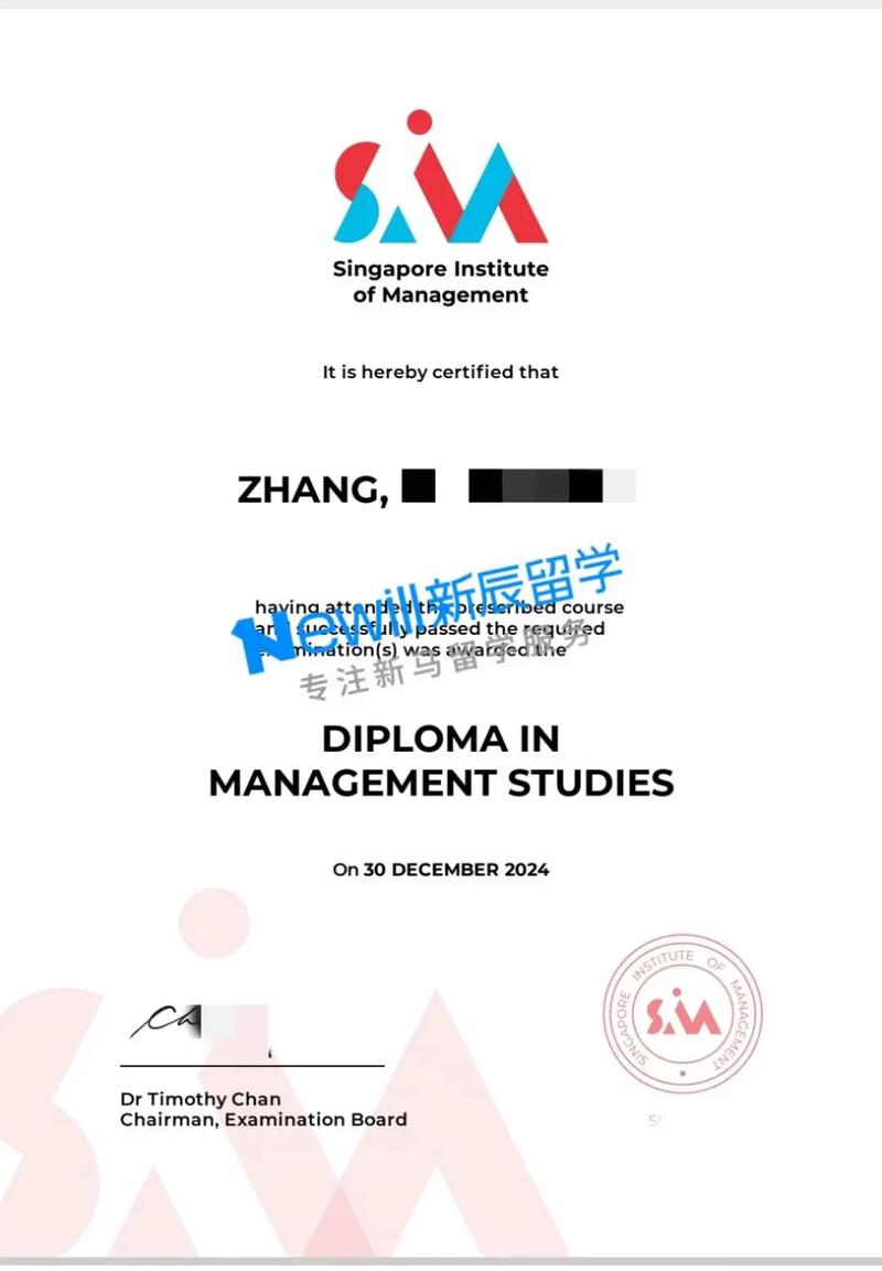 新加坡理工的diploma