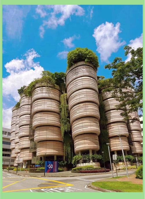 新加坡理工的diploma