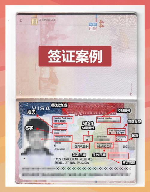 签证通visaplatform