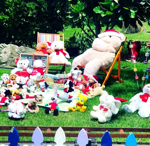 新西兰matamata去哪玩