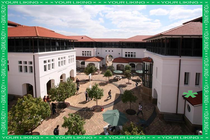 新西兰梅西大学pathway