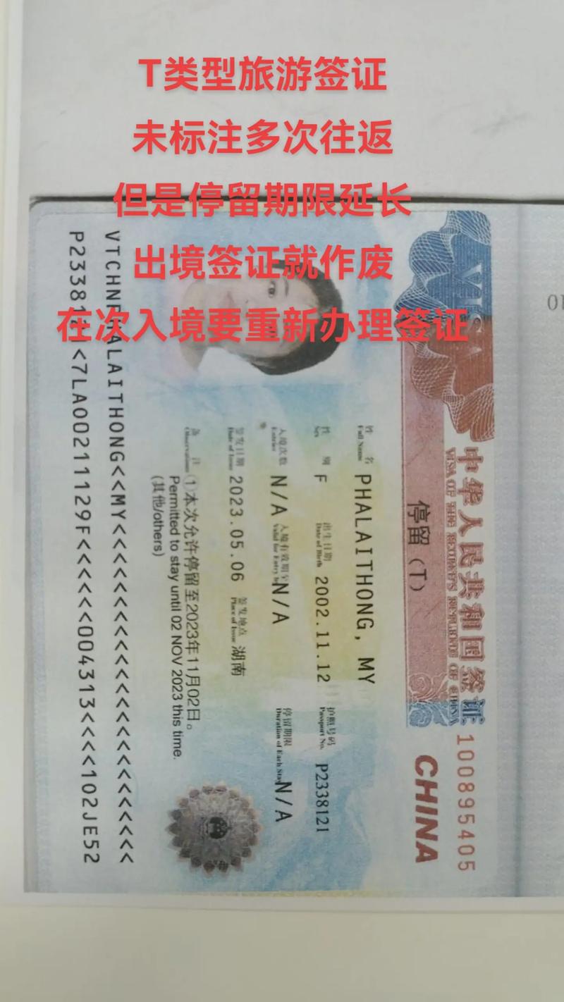 reinstatement签证