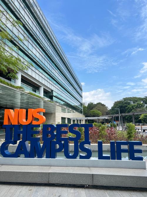 新加坡国立industry