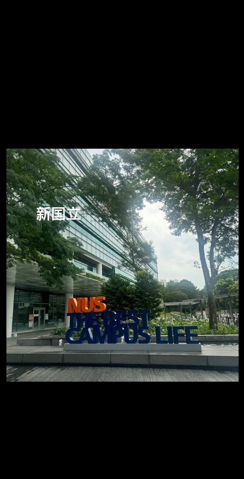 新加坡国立industry