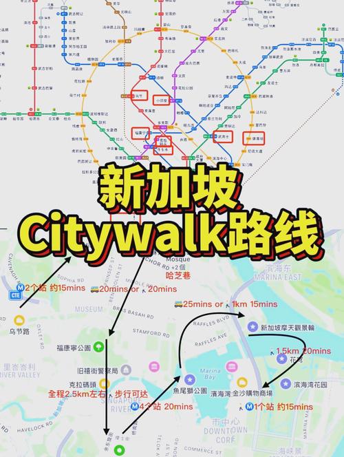 insead 新加坡 地址