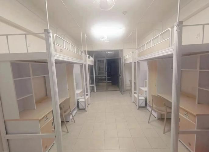 新加坡lasalle 宿舍