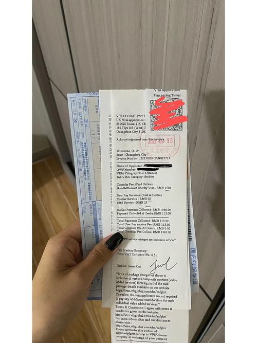 英国签证 appendix 8