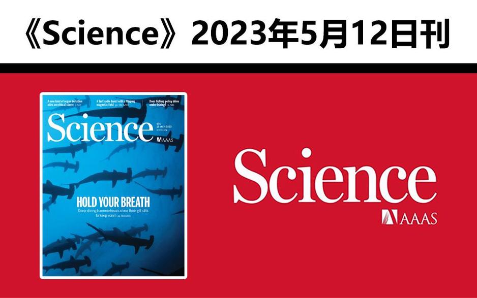 澳洲medical science