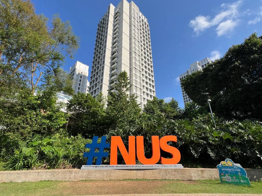 新加坡国立-finance