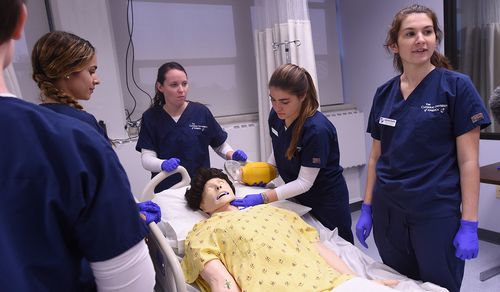 澳洲 nursing master