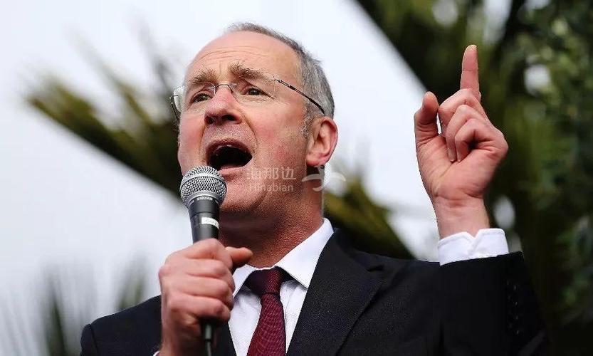 新西兰learner怎么罚款