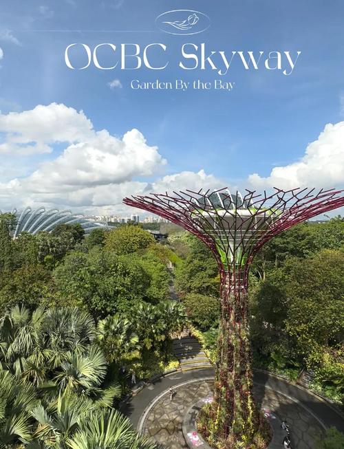 新加坡skyworks地址