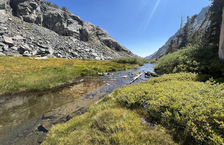 merit pass 新西兰