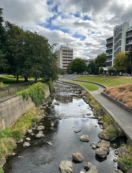 新西兰king school