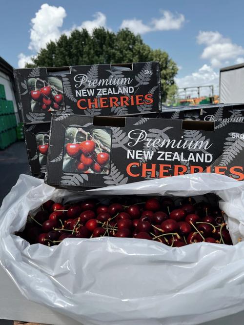 新西兰single size