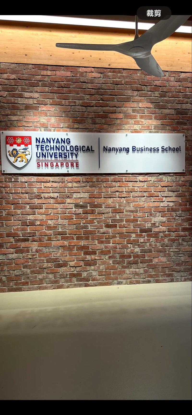 新加坡南洋理工大学 mba