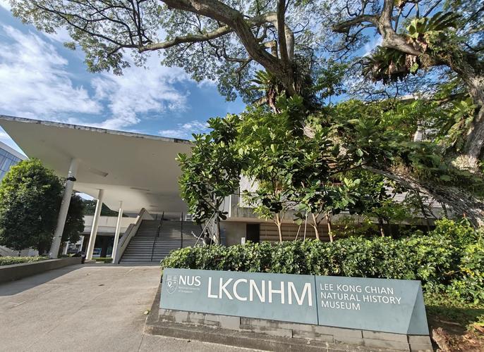 新加坡国立大学 utown