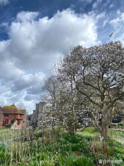 canterbury 新西兰