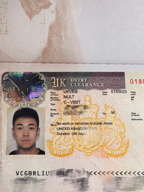 英国签证appendix 8