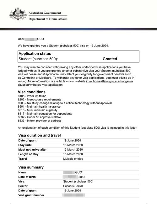 签证状态 no status