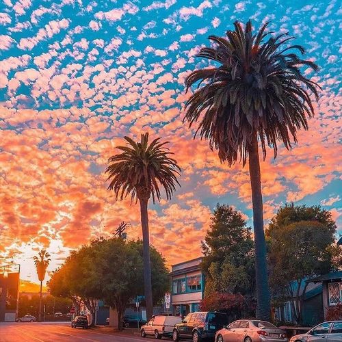 b1 b2 和b2 签证区别