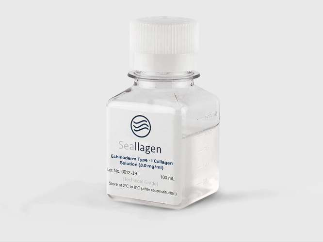 biostatistics 澳洲