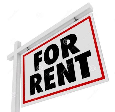 新西兰语言课程level4