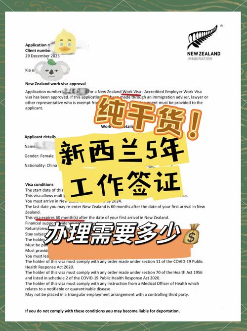 新西兰 it经理 工作经验