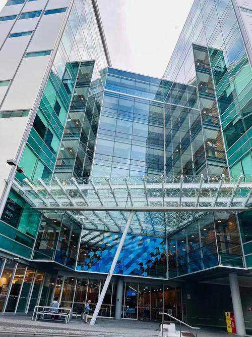 新西兰奥克兰大学有什么学院