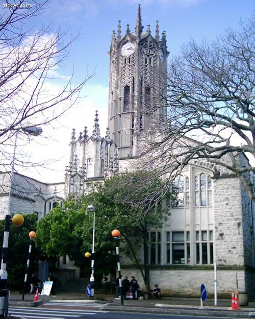 新西兰奥克兰大学有什么学院
