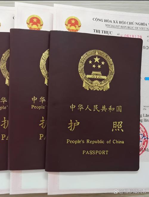 psw签证是找工作的签证吗