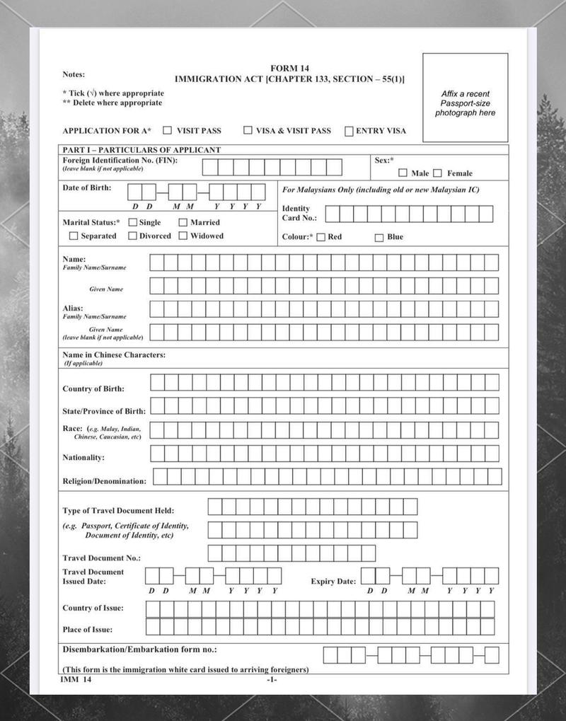 新加坡签证申请表填写样本