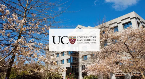 tesol新西兰就业怎么样