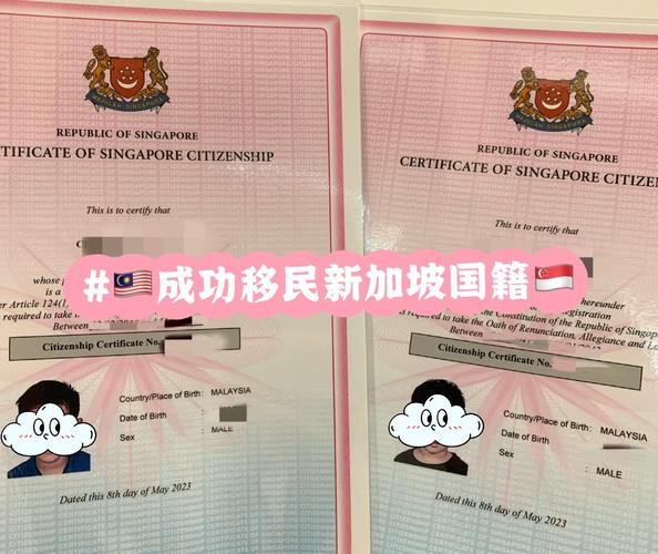 新加坡签证form14下载