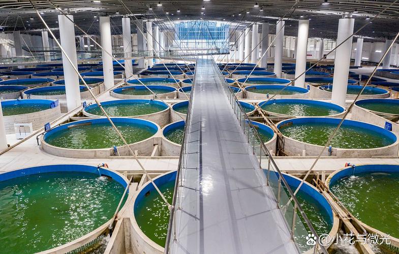 新西兰nmit大学水产养殖