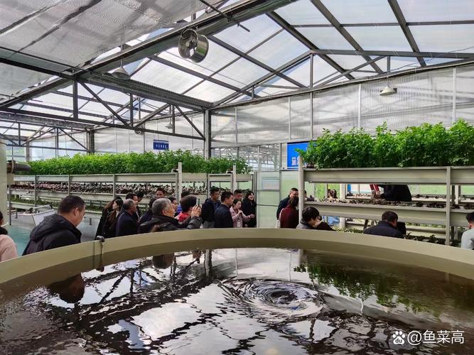 新西兰nmit大学水产养殖