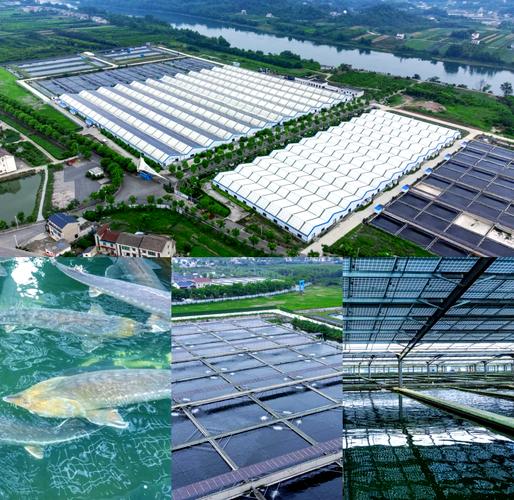 新西兰nmit大学水产养殖