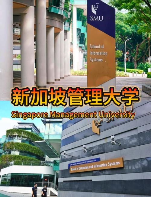 新加坡管理大学信息管理