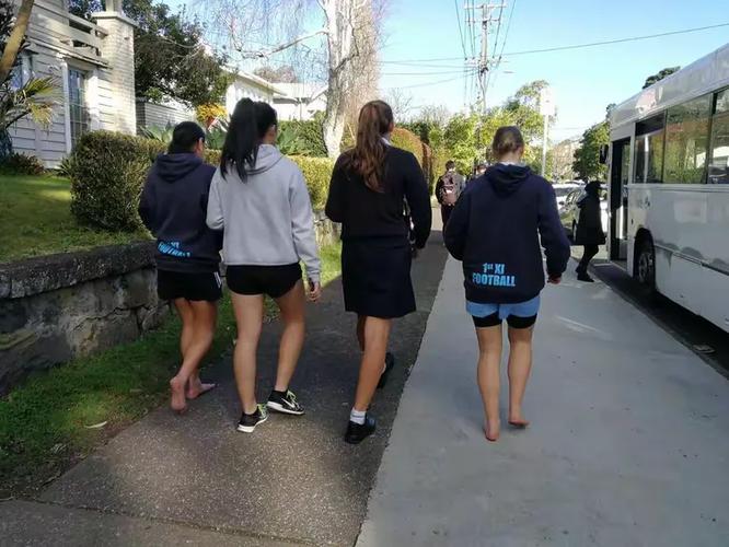 新西兰alevel190分