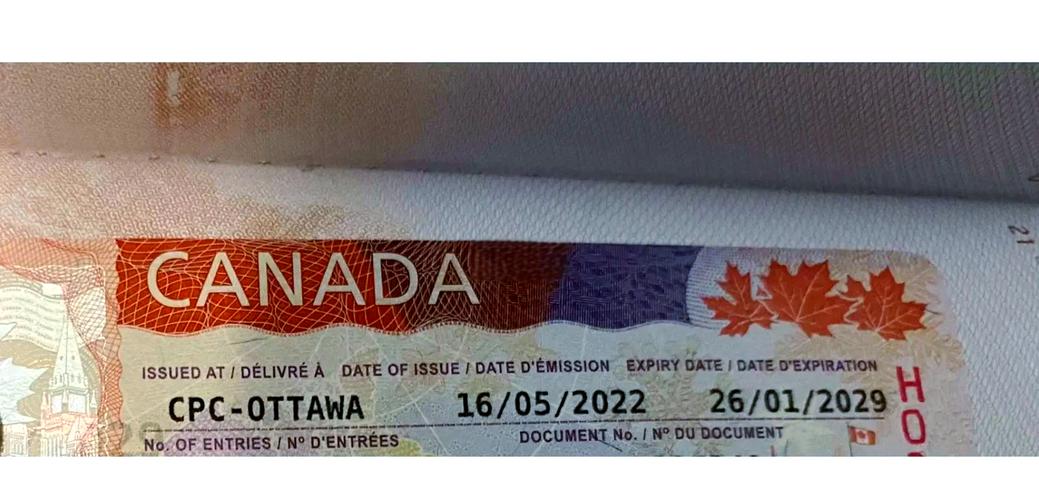 美国f1签证申请加拿大签证