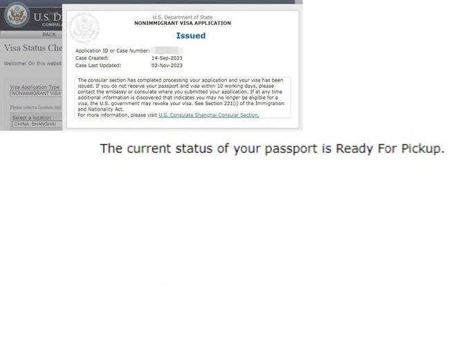 签证状态查询是issued