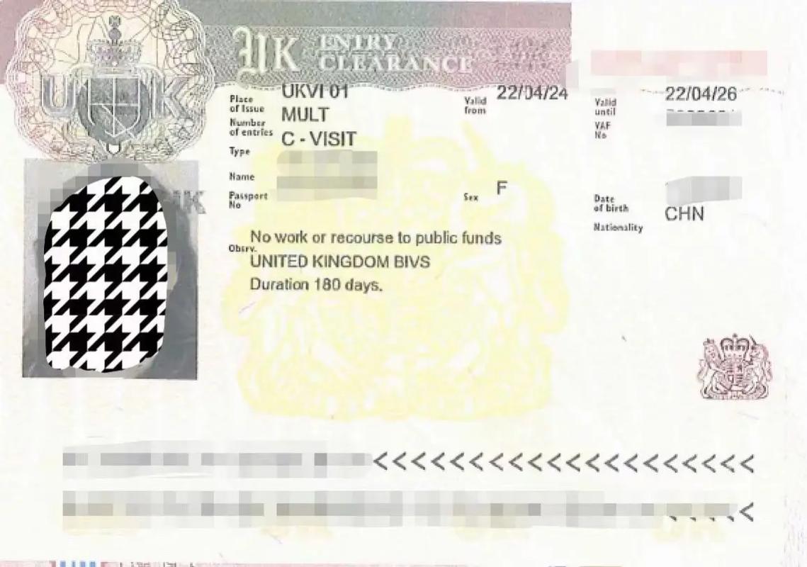 英国签证visa type