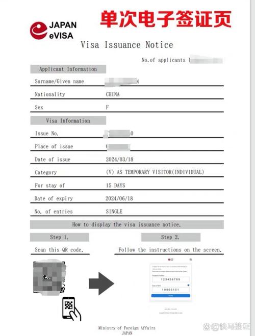 签证状态no status