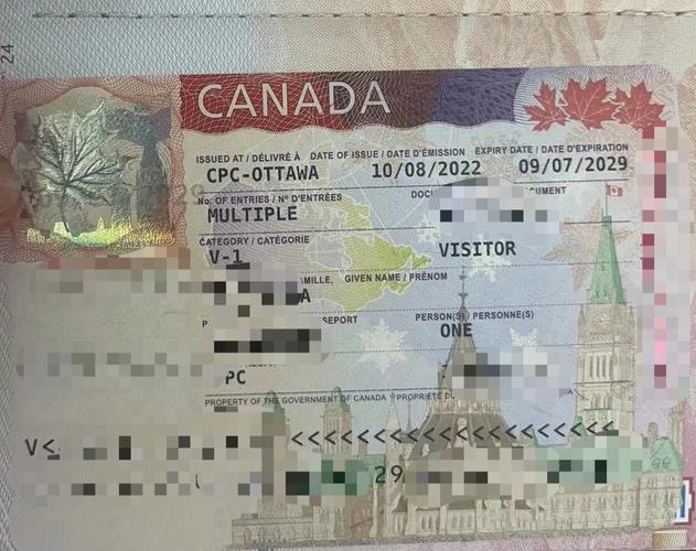 加拿大签证imm 5257