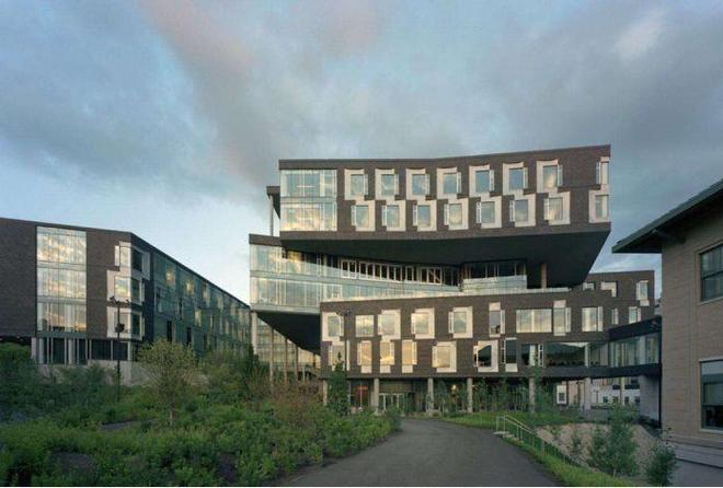 cmu msit 澳洲 就业