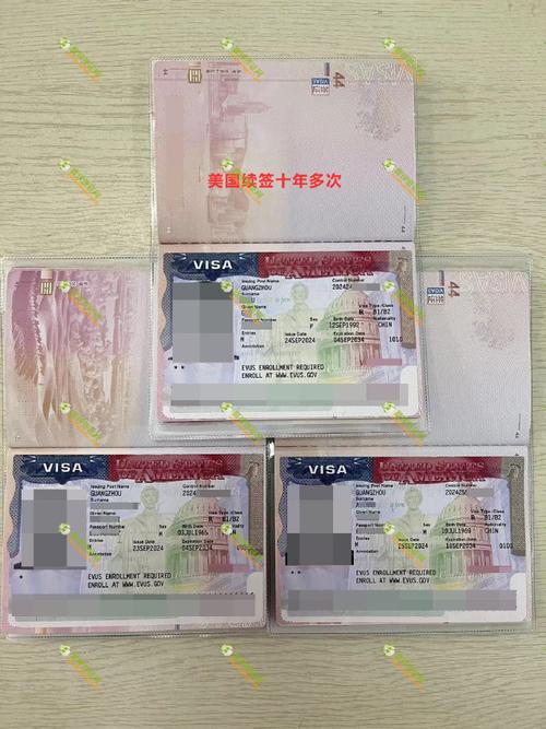 美国签证状态是issued