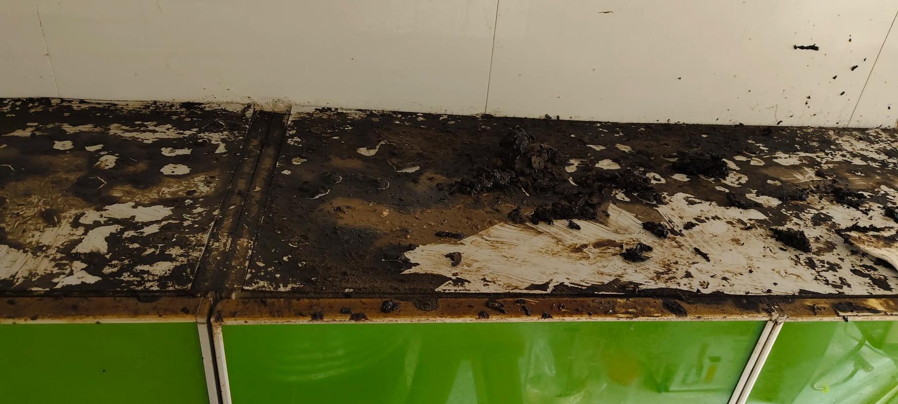 澳洲 house 地板 腥味